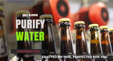 Alcohol as a Water Purifier: Fact or Fiction?