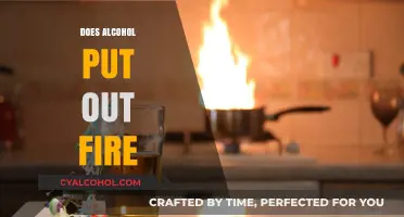 Debunking Myths: Alcohol's Surprising Role in Fire Safety