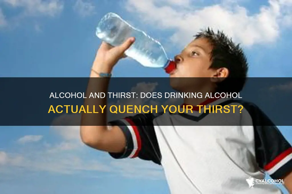 does alcohol quench thirst