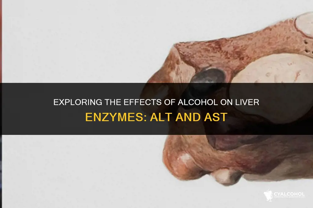 does alcohol raise alt ast