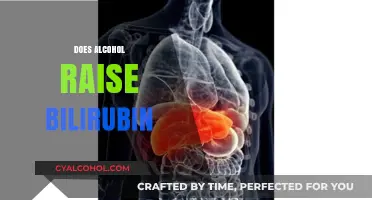 Does Alcohol Increase Bilirubin Levels? Understanding the Liver Connection
