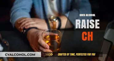 Does Alcohol Raise Cholesterol? Uncovering the Surprising Connection and Risks