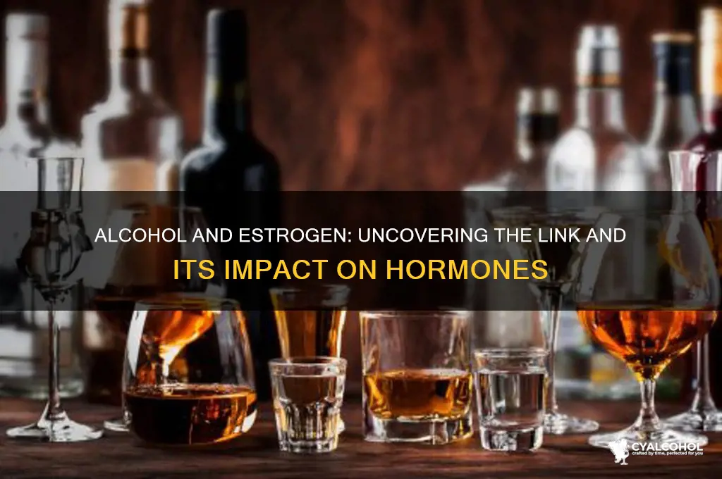 does alcohol raise estrogen