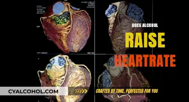 Alcohol and Heart Rate: Understanding the Impact on Your Pulse