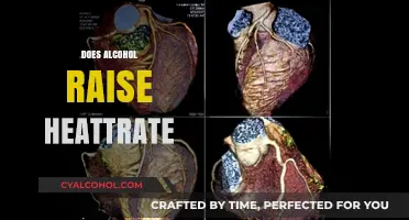 Alcohol's Impact: Does Drinking Increase Your Heart Rate?
