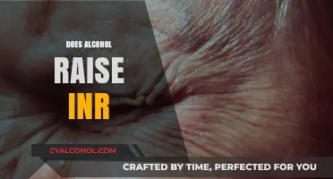 Does Alcohol Raise INR? Understanding the Impact on Blood Thinners