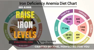 Exploring the Link: Alcohol Consumption and Iron Levels