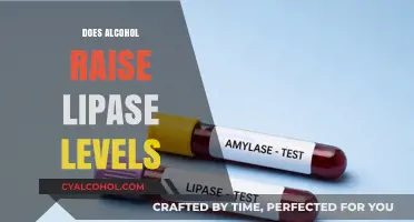 Exploring the Link: Alcohol Consumption and Lipase Levels
