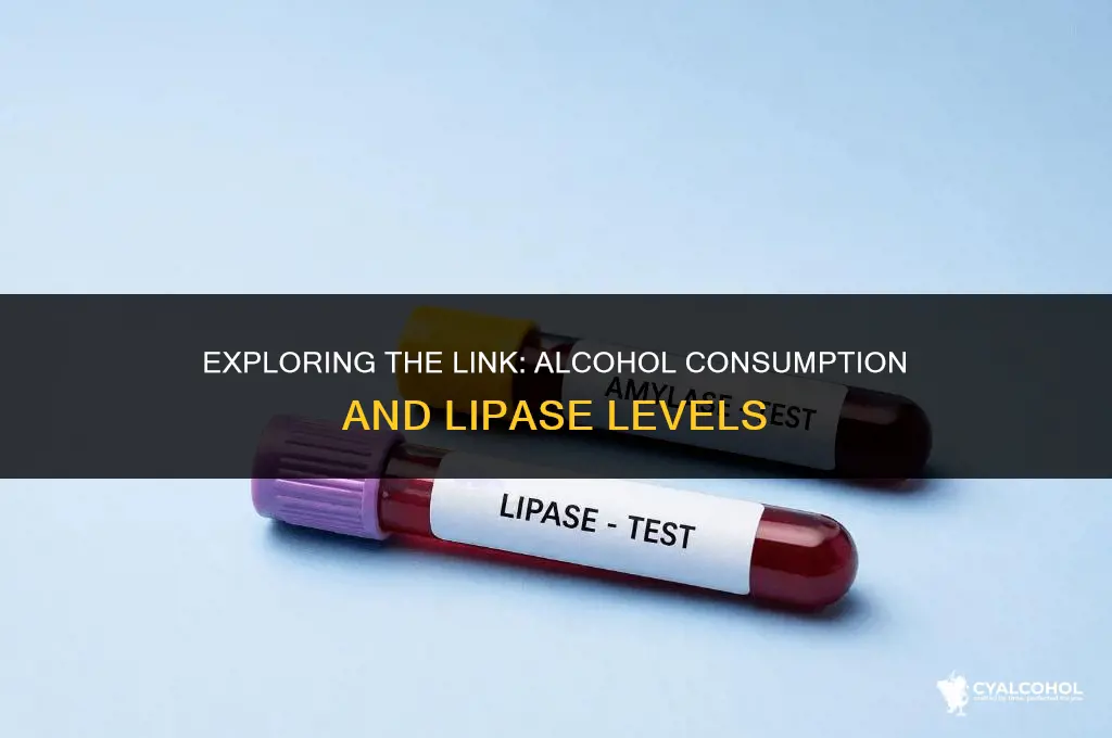 does alcohol raise lipase levels