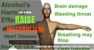Does Alcohol Boost Metabolism? Unraveling the Truth Behind the Myth