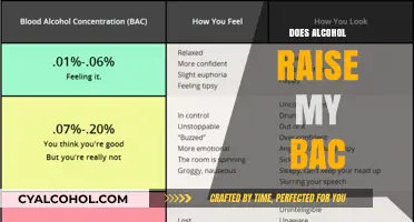 Understanding Alcohol's Impact: Does It Really Raise Your BAC?