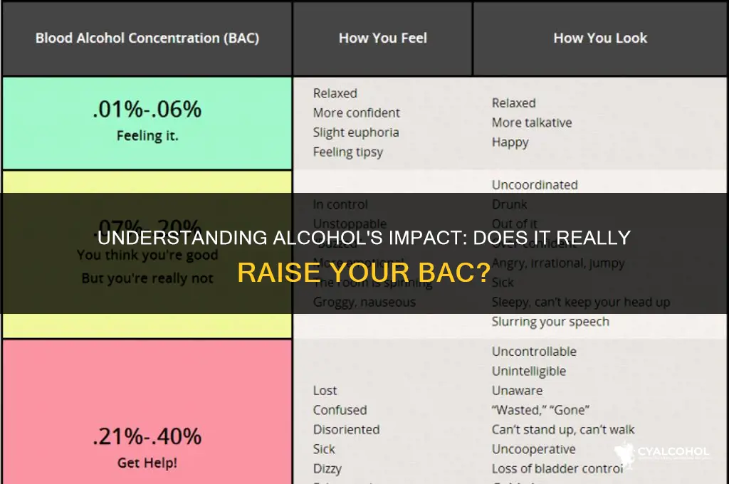 does alcohol raise my bac