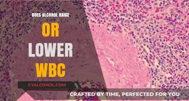 Alcohol's Impact on White Blood Cells: Raise, Lower, or Neutral?
