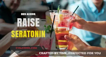 Alcohol and Serotonin: Unraveling the Complex Relationship and Its Effects