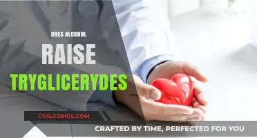 Alcohol and Triglycerides: Understanding the Impact on Your Health