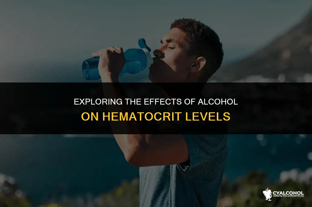does alcohol raise your hematocrit