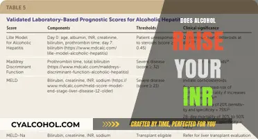 Exploring the Impact of Alcohol on Your INR Levels