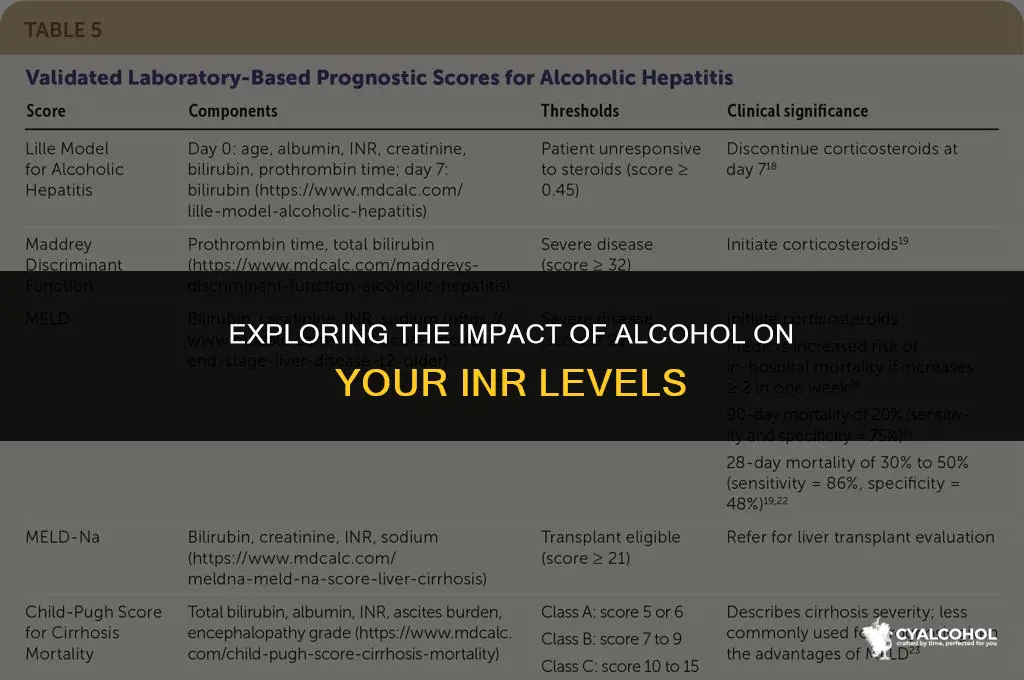 does alcohol raise your inr