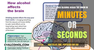 How Fast Does Alcohol Reach Your Brain?