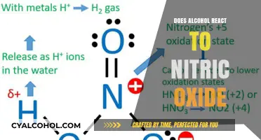 Alcohol and Nitric Oxide: Unraveling Their Chemical Interaction Potential
