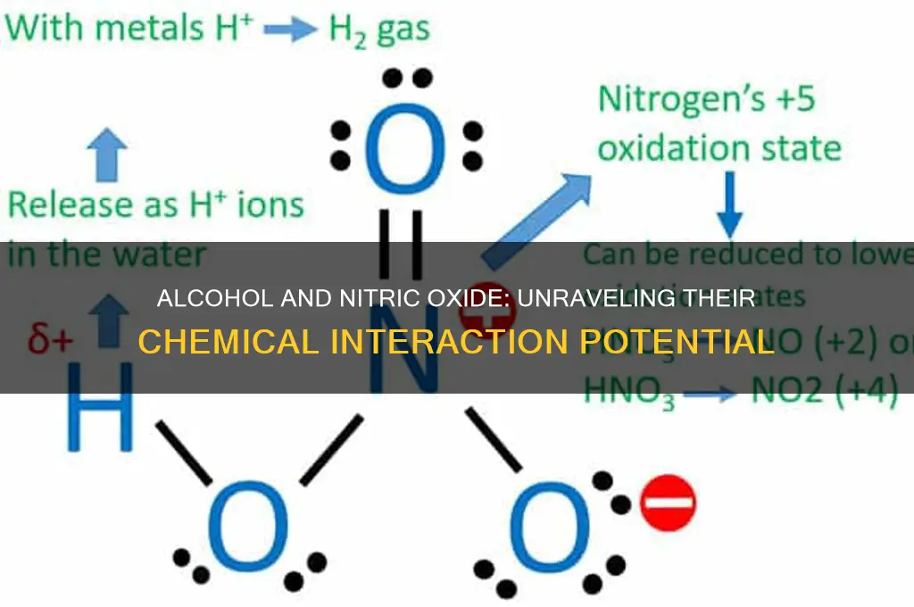 does alcohol react to nitric oxide