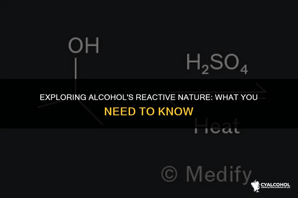 does alcohol react with anything