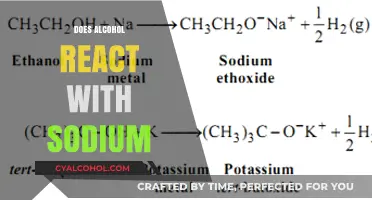 Exploring the Chemical Interaction: Alcohol and Sodium