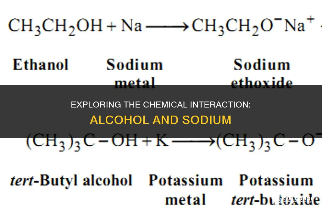 does alcohol react with sodium