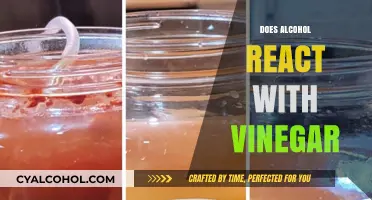 Exploring the Chemical Interaction: Alcohol and Vinegar Reactions