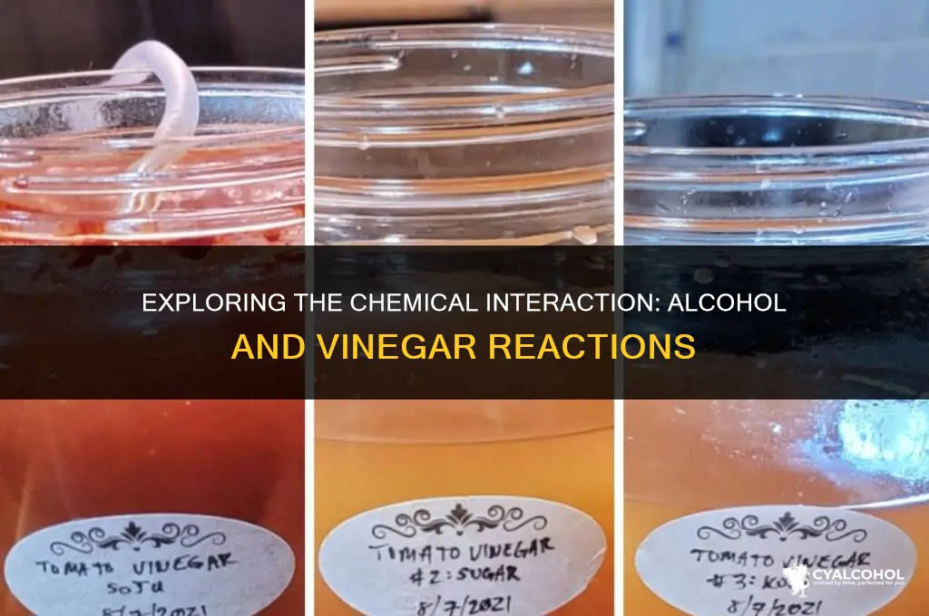 does alcohol react with vinegar
