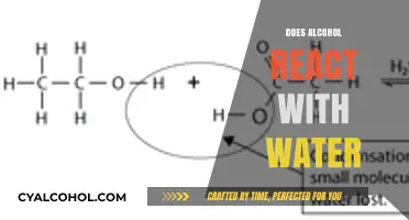 Exploring the Interaction: Does Alcohol React with Water?