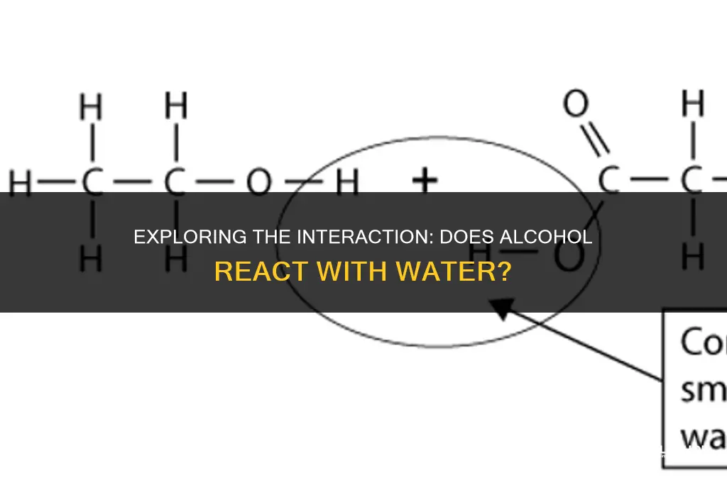does alcohol react with water