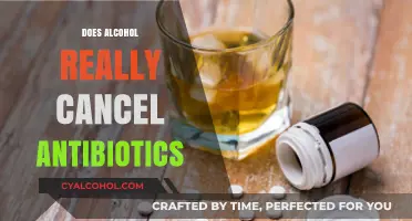 The Truth About Alcohol and Antibiotics: A Myth Busted