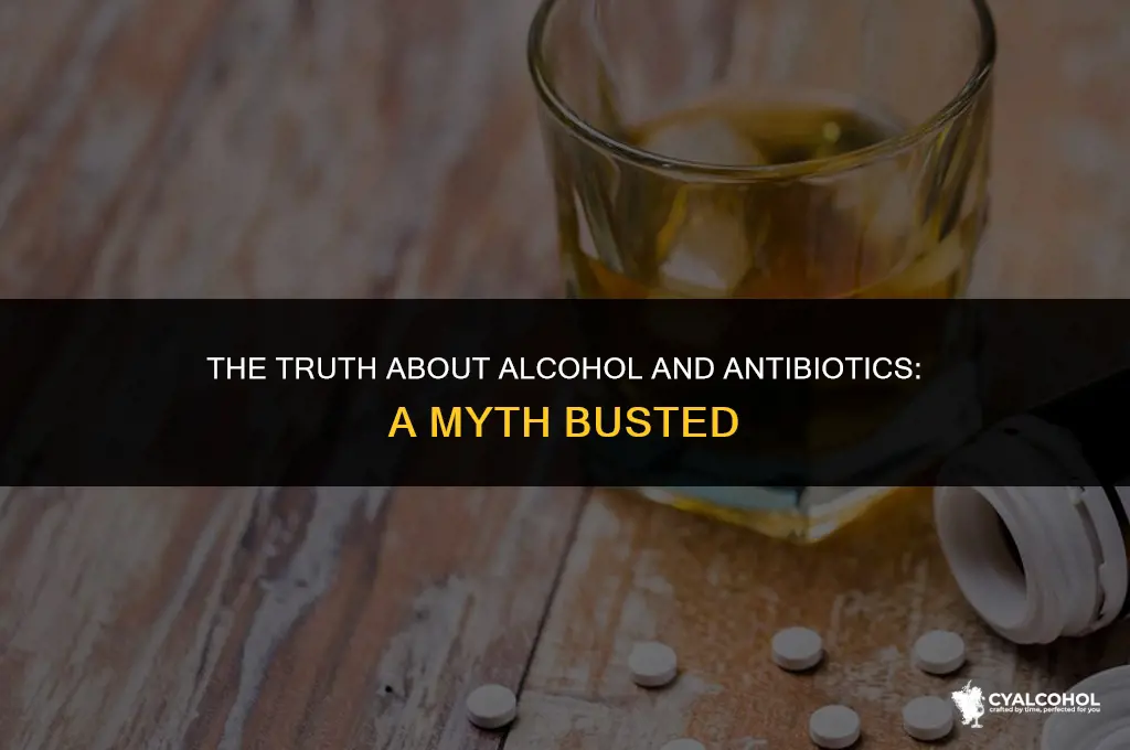does alcohol really cancel antibiotics
