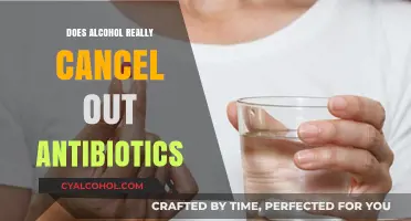 Alcohol and Antibiotics: Debunking the Myth of Canceling Effects