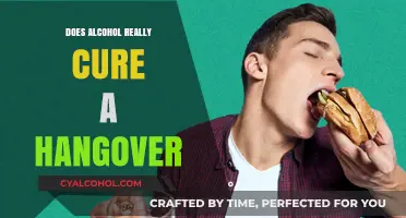 Alcohol as a Hangover Cure: Myth or Misguided Remedy?