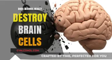 Does Alcohol Destroy Brain Cells? Unraveling the Myth and Facts
