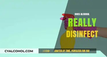Alcohol as Disinfectant: Fact or Fiction? Uncovering the Truth