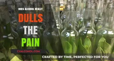 Alcohol and Pain Relief: Myth or Temporary Escape?