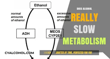 Unveiling the Truth: Alcohol's Surprising Impact on Metabolism