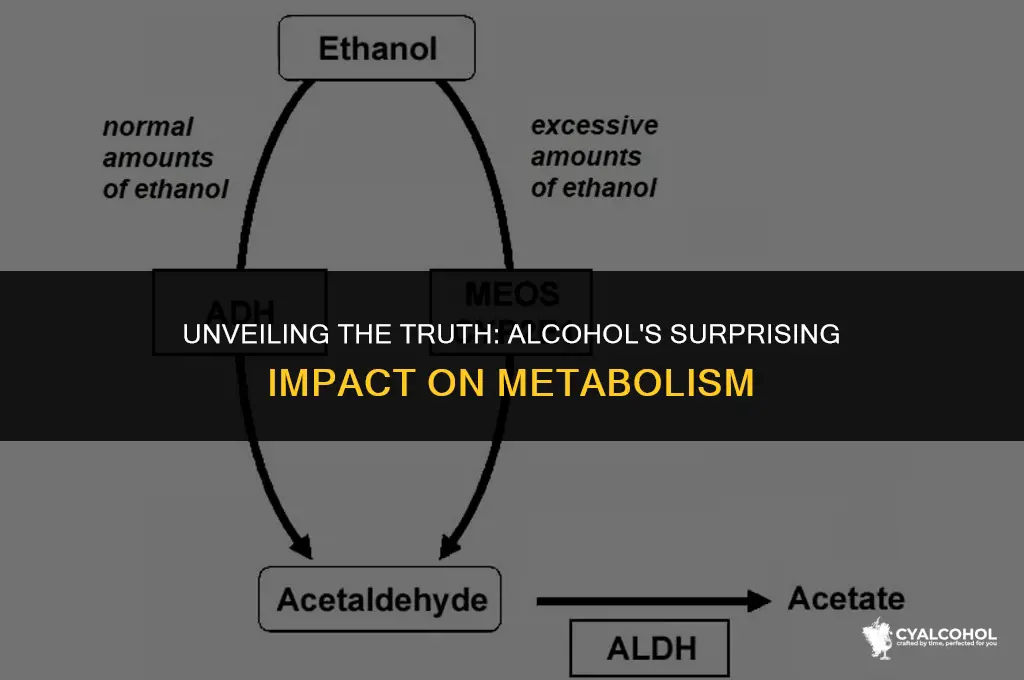 does alcohol really slow metabolism