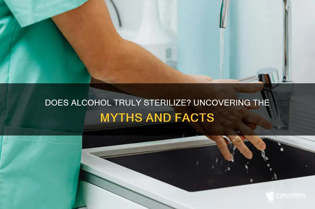 does alcohol really sterilize