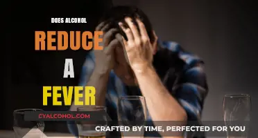 Exploring the Myth: Can Alcohol Really Help Reduce a Fever?