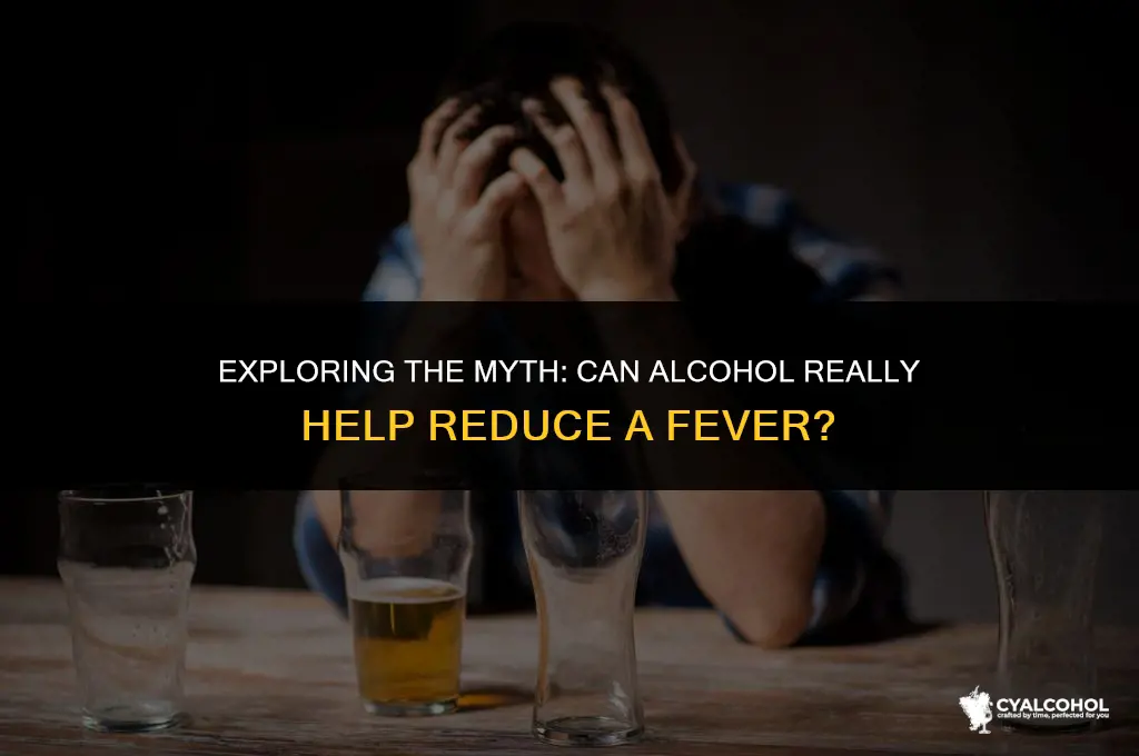 does alcohol reduce a fever