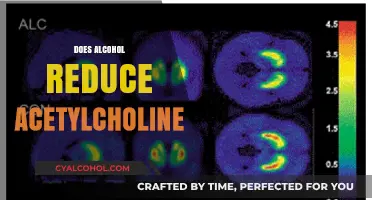 Alcohol's Impact on Acetylcholine: Does Drinking Lower Brain Function?