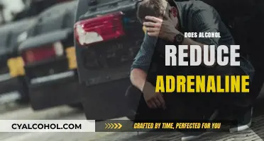 Alcohol's Impact on Adrenaline: Does It Truly Calm the Rush?