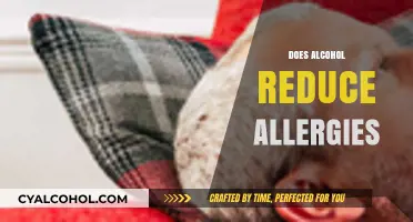Alcohol and Allergies: Can Drinking Reduce Symptoms or Worsen Them?