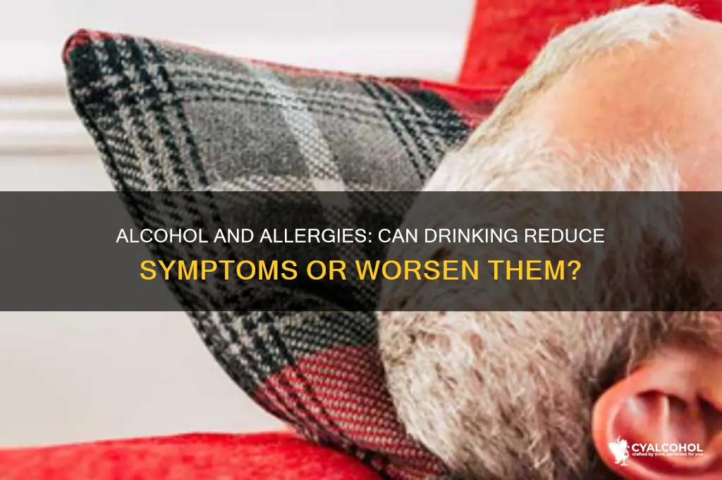does alcohol reduce allergies