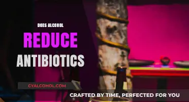 Alcohol and Antibiotics: Understanding the Risks and Interactions