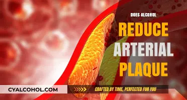 Exploring the Effects of Alcohol on Arterial Plaque: A Comprehensive Review